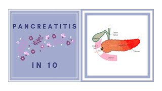 Pancreatitis in 10 Minutes  Nursing Process [upl. by Ijneb]