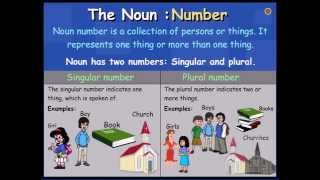 Definition of Noun and Types of Noun  English Grammar Class 8 [upl. by Aihsemat]