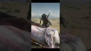 That Bison is so Big rdr2 reddeaddredemption reddeadredemption [upl. by Oinafipe667]