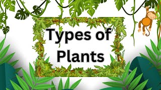 Types of plants  Types of plants for kids  EVS  Class 2 chapter 4  CBSE Class EVS  plants [upl. by Adkins]