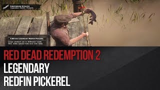 Red Dead Redemption 2  Legendary Redfin Pickerel [upl. by Syned]