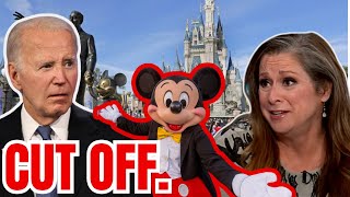 Disney Heir PULLS ALL DEMOCRAT FUNDING Calls On Biden To Be REPLACED w Kamala Harris [upl. by Htebazie]