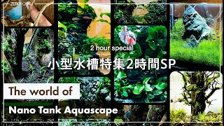 2時間ずっーと30cm水槽の世界  Lofi amp Chill Beatsaquascapeaquariumnanotankvlog [upl. by Nirehtak917]