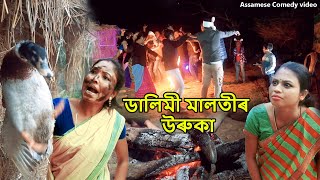 Dalimi Malotir Uruka  Assamese funny video  Assamese Comedy video [upl. by Irual476]