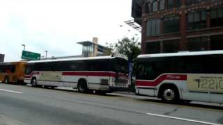 55 minutes of G20 buses [upl. by Golightly]