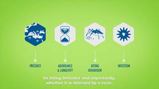 Medical entomology explained in motion design [upl. by Eudocia]