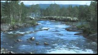 Jämtlandssången  Anthem of Jamtland  Mats Sannetorp w Fair play [upl. by Ball]