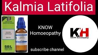 Kalmia Latifolia  Homeopathic Medicine in Hindi  KNOW Homoeopathy [upl. by Vitkun728]