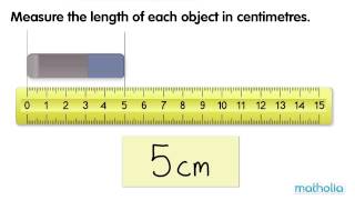 Measuring Length in Centimetres [upl. by Ydnagrub492]