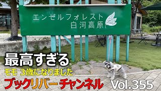 エンゼルフォレスト白河高原って最高！Vol355 [upl. by Zina]