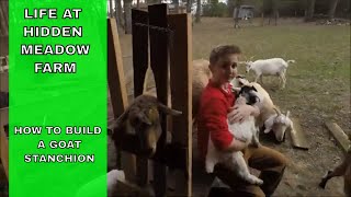 HOW TO BUILD A GOAT STANCHION  DIY HEADGATE FOR SMALL LIVESTOCK [upl. by Henn]