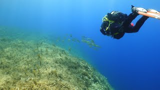 Scuba Diving in the Maltese Island of Gozo 2024 [upl. by Nairda]