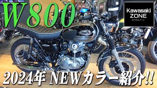 「W800」2024年1月20日発売のNEWカラーをご紹介致します！カワサキゾーン  KAWASAKI ZONE [upl. by Lait518]