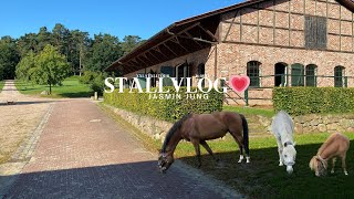 Stallalltag amp XXL Stalltour💗🐴 [upl. by Mcclary657]