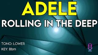 Adele  Rolling In The Deep  Karaoke Instrumental  Lower [upl. by Eradis]