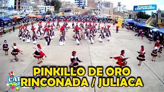 PINKILLO DE ORO JULIACA rinconada  Peru 2024 [upl. by Carmena]