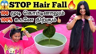 OMG😱 Its Miracal  100 முடி கொட்டினாலும் உடனே நிற்கும் SUPER Hair fall Tips  Hair loss tips [upl. by Norab]