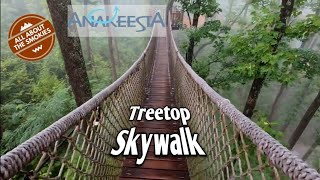 Anakeesta Treetop Skywalk [upl. by Refinej]