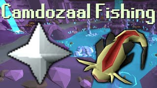 OSRS F2P Camdozaal FishingCookingPrayer [upl. by Tudor408]