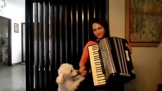 Speranze Perdute waltz Accordion [upl. by Aillicec957]