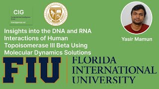 Insights into the DNA and RNA Interactions of Human Topoisomerase III Beta Using Molecular Dynamics [upl. by Hollingsworth112]