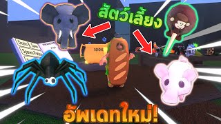 Roblox  Wacky Wizards อัพเดท สัตว์เลี้ยง  สอนทำสัตว์เลี้ยง😂 2 [upl. by Ayyidas]