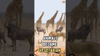 What If All Animals Became Vegetarian shorts whatif mustwatch animals vegetarian [upl. by Iatnahs]