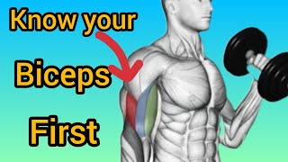 5 Best Exercises to Build Biceps Long Head [upl. by Heti]