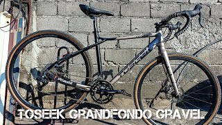 TOSEEK GRANFONDO  BUDGET GRAVEL BIKE Quick bike check  Performance review [upl. by Radcliffe581]