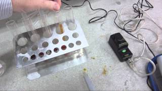 Iodination of propanone Part 1  Obtaining a calibration curve for aqueous iodine [upl. by Anerda481]