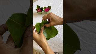 Ecofriendly leaf cups 🍃 jackfruitleafcups ecofriendlycups diy bananaleafcups [upl. by Roseanne]