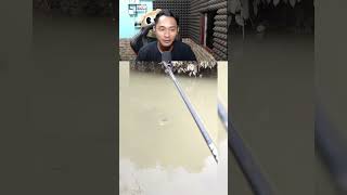 Wah Gorgon 🤣🤣 mancingmania mancing fishing reaction [upl. by Wilburn]