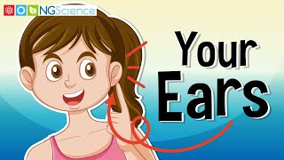 Your Ears [upl. by Diego]