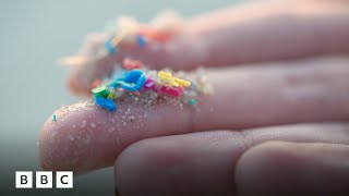 How to limit your exposure to microplastics  BBC Global [upl. by Yetta]