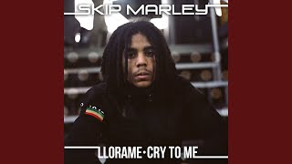 Cry To Me Kustom Mike Remix [upl. by Crawley]