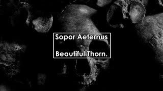 Sopor Aeternus  Beautiful Thorn Lyrics  Letra [upl. by Buyers634]