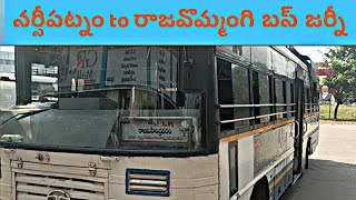 Narsipatanam to Rajavommangi bus journey vlog teluguvihaan timesKDpetakakarapadu golugonda [upl. by Thormora]