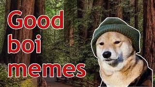 DANKEST DOGGO MEMES [upl. by Shelia]