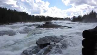 Storforsen Waterfall  Sweden [upl. by Alphard]