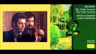 Pinchas Zukerman  Daniel BarenboimViola  Piano [upl. by Kizzee]