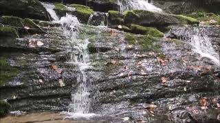 Little Creek Falls [upl. by Eisenstark]