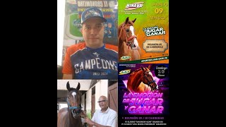 HIPISMO PROFESIONAL DOMINGO 100324 [upl. by Marlyn355]