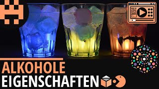 Alkohole Eigenschaften│Chemie Lernvideo│Learning Level Up [upl. by Suoivatnod652]