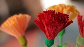 How to Make Crepe Paper Flowers [upl. by Lynd]