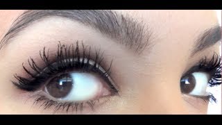 Perfect Mascara Routine for Huge Long Lashes [upl. by Studley]