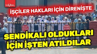 Çatalcada Polonez fabrikası işçileri sendikalı oldukları için işten atıldı  ULUSAL HABER [upl. by Sension]