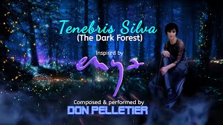 Enya  Tenebris Silva Inspired by Enya  Composed and performed by Don Pelletier [upl. by Hgieliak]