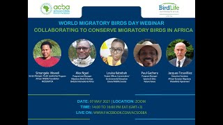 World Migratory Bird Day Collaborating to Conserve Migratory Birds In Africa [upl. by Yrol]