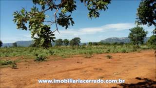 FAZENDA A VENDA EM GOIÁS  ALTO PARAÍSO [upl. by Yulma]