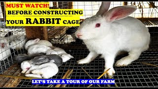 The Costly Rabbit Farming Mistakes You NEED to Avoid [upl. by Guy]